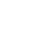 Safety Icon